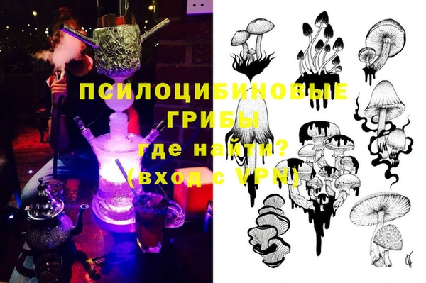 сатива Алзамай