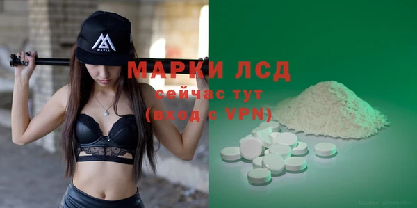 сатива Алзамай