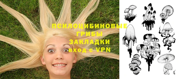 шишки Алексеевка