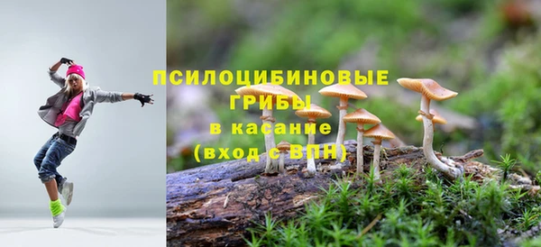 МДПВ Абдулино
