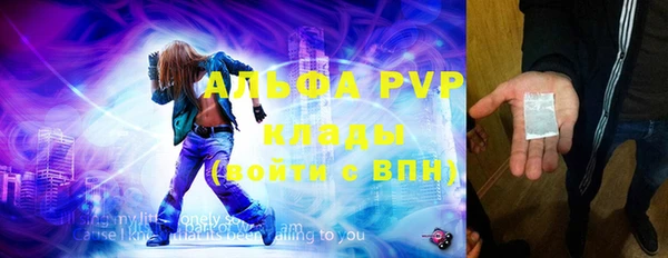 сатива Алзамай