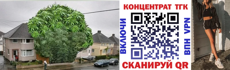 блэк спрут зеркало  что такое наркотик  Новосиль  Дистиллят ТГК концентрат 